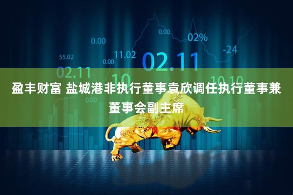 盈丰财富 盐城港非执行董事袁欣调任执行董事兼董事会副主席