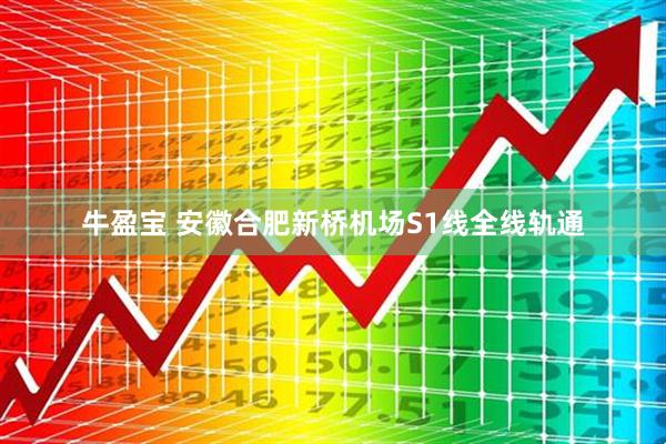 牛盈宝 安徽合肥新桥机场S1线全线轨通