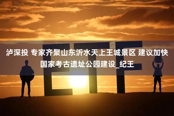 泸深投 专家齐聚山东沂水天上王城景区 建议加快国家考古遗址公园建设_纪王