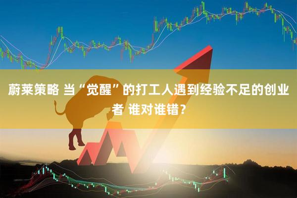 蔚莱策略 当“觉醒”的打工人遇到经验不足的创业者 谁对谁错？