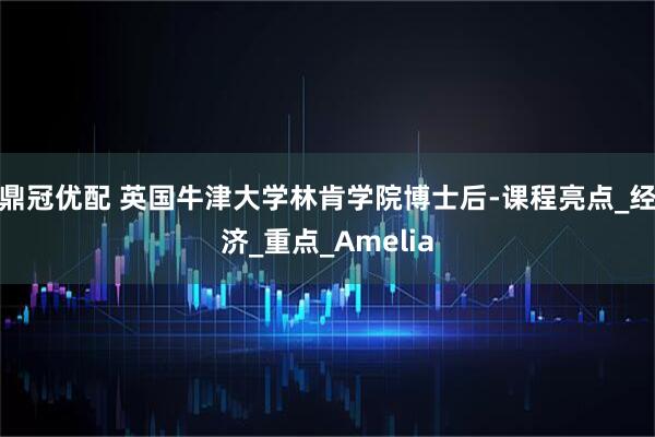 鼎冠优配 英国牛津大学林肯学院博士后-课程亮点_经济_重点_Amelia
