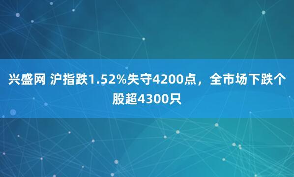 兴盛网 沪指跌1.52%失守4200点，全市场下跌个股超4300只