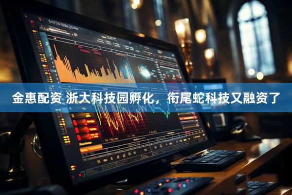金惠配资 浙大科技园孵化，衔尾蛇科技又融资了
